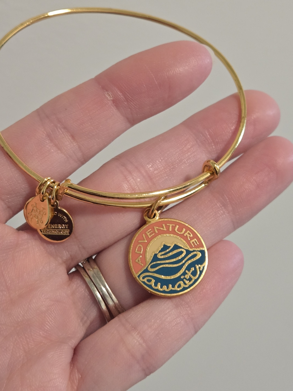 Alex and Ani Adventure Awaits Enamel Charm Bangle